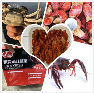 双辽大闸蟹批发厂家加工