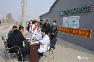 百姓身边的志愿者 双辽市王奔镇组织志愿者服务群众记事