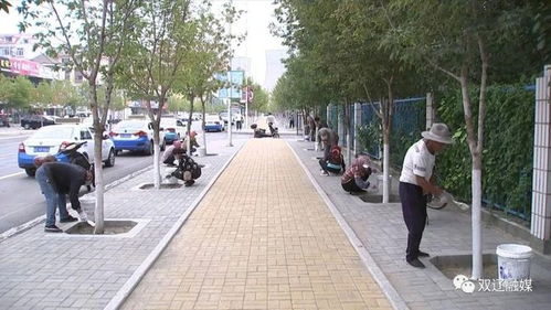 双辽市公共事业服务中心 多措并举精细完善 提升市容环境