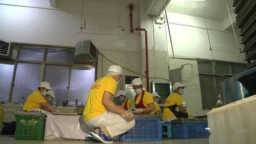 复工复产 我接力 疫情影响粽子订单骤降 附近村民难就业