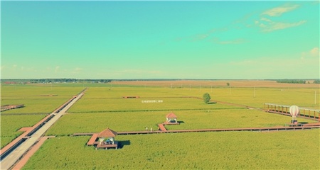 稻花香里说丰年|在双辽市"藏"着这样一个小镇 让人津津"乐稻"