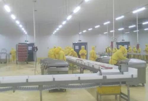 建阳与光泽 双辽文化探索