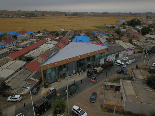 双辽法院昼夜行动 强力执行涉黑财产彰显法治决心