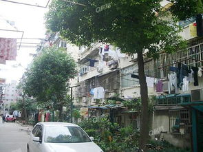 上海双辽支路60弄小区房价、二手房买卖与租房信息