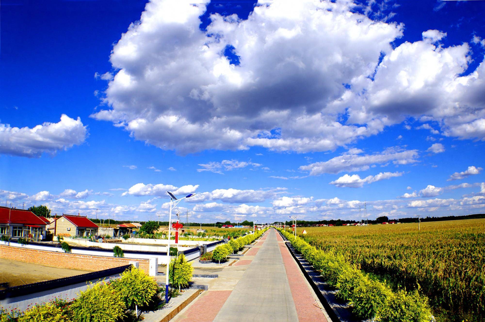 双辽发展之路 标准化建设与品质化运营双轮驱动