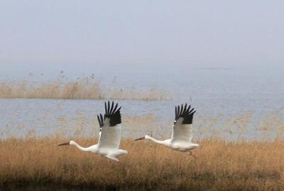 金秋旅游季 一起发现大美双辽